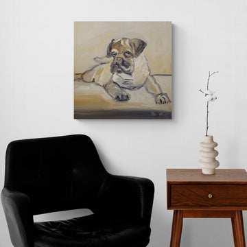 Pug